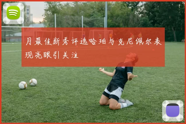 月最佳新秀评选哈珀与克尼佩尔表现亮眼引关注